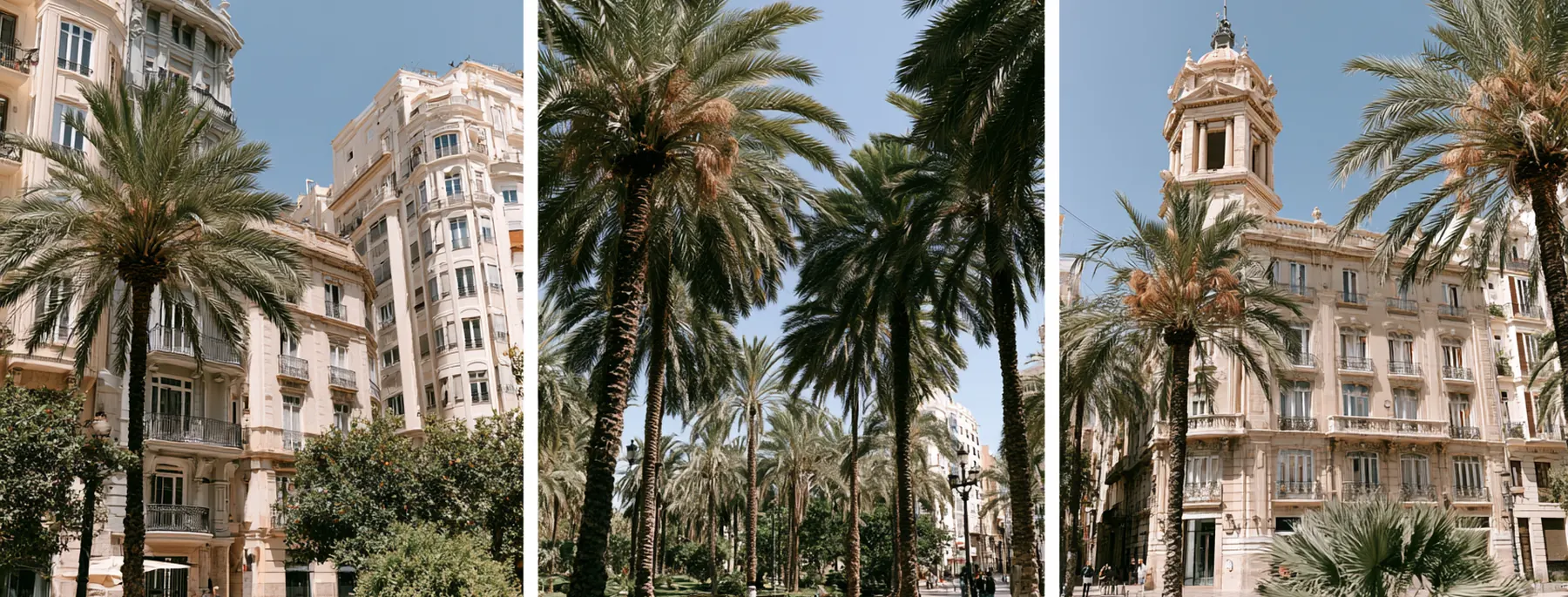 Palm-lined plazas of the Spanish Mediterranean